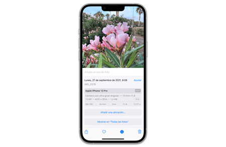 Iphone 13 Pro 04 Galeria Info