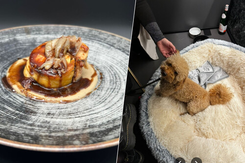 fiuto restaurante perros